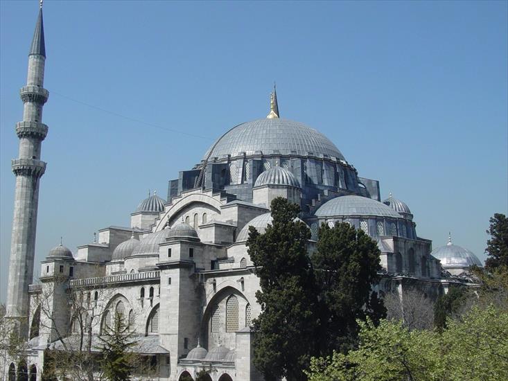 Architecture - Suleiman Mosque in Istanbul - Turkey exterior.jpg