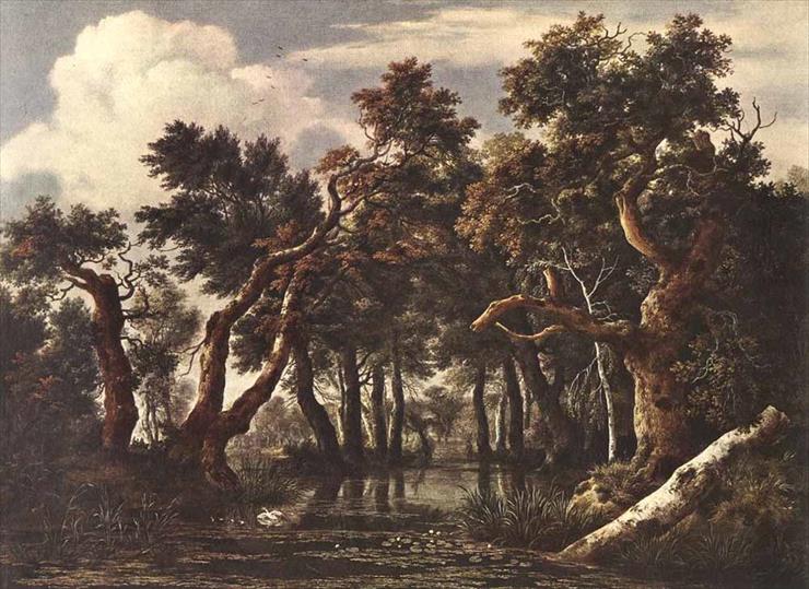 Ruisdael Jacob van - RUISDAEL_Jacob_Isaackszon_van_The_Marsh_In_A_Forest.jpg